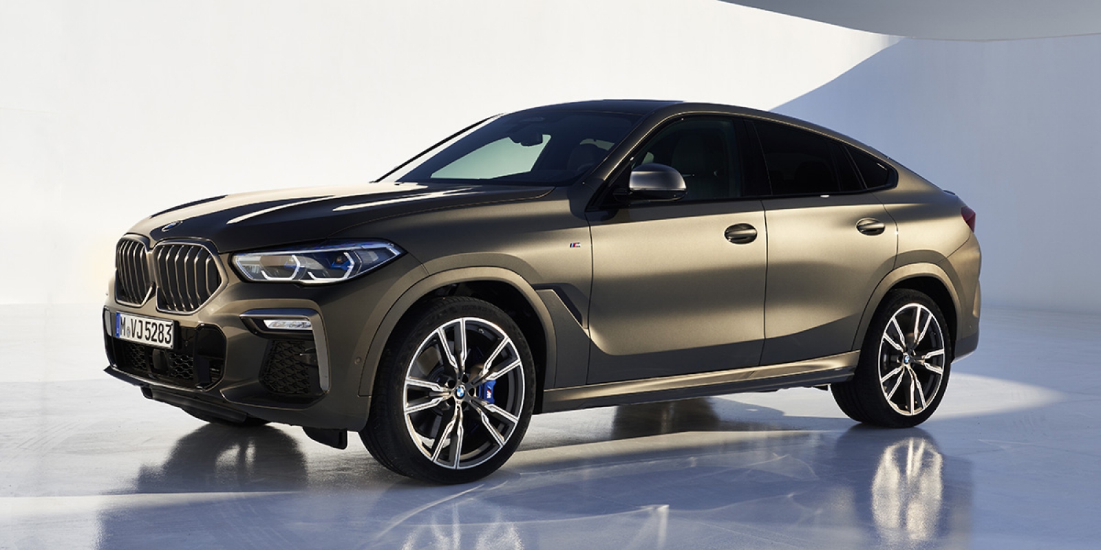 Bmw x6 1 поколения