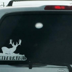 Whitetail Window Sticker