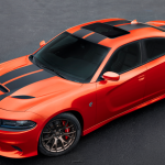 Last Viper