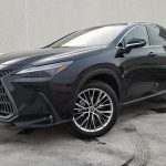 2022 Lexus NX 350 Luxury