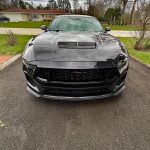 Dark Matter Gray, front clip