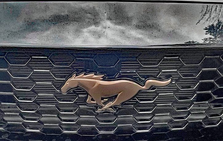 Bronze Appearance Package, Pony Emblem