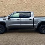 Sterling Metallic Sierra