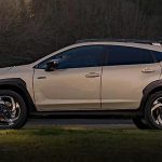 Profile view