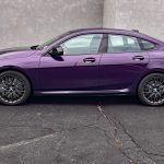 Profile, Purple,
